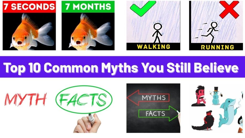 Top 10 Common Myths You Still Believe
