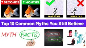 Top 10 Common Myths You Still Believe